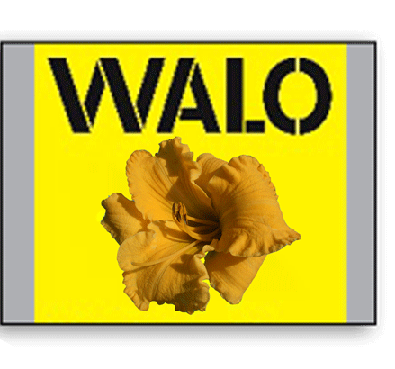 walo-bau-logo--web-33%